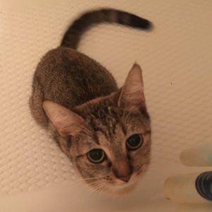 Meet your Posher, Lillian